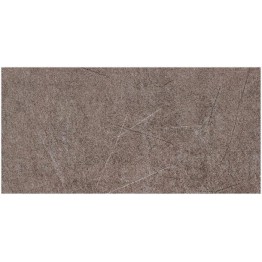 Gạch ốp tường Trường Thịnh COOLSTONE C36204